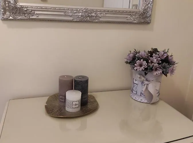 アパート F3 Design Colmar+parking Free コルマール