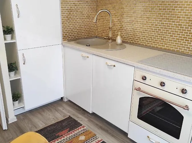 アパート F3 Design Colmar+parking Free コルマール