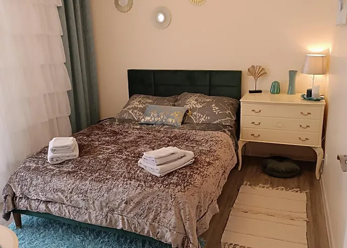 アパート F3 Design Colmar+parking Free コルマール